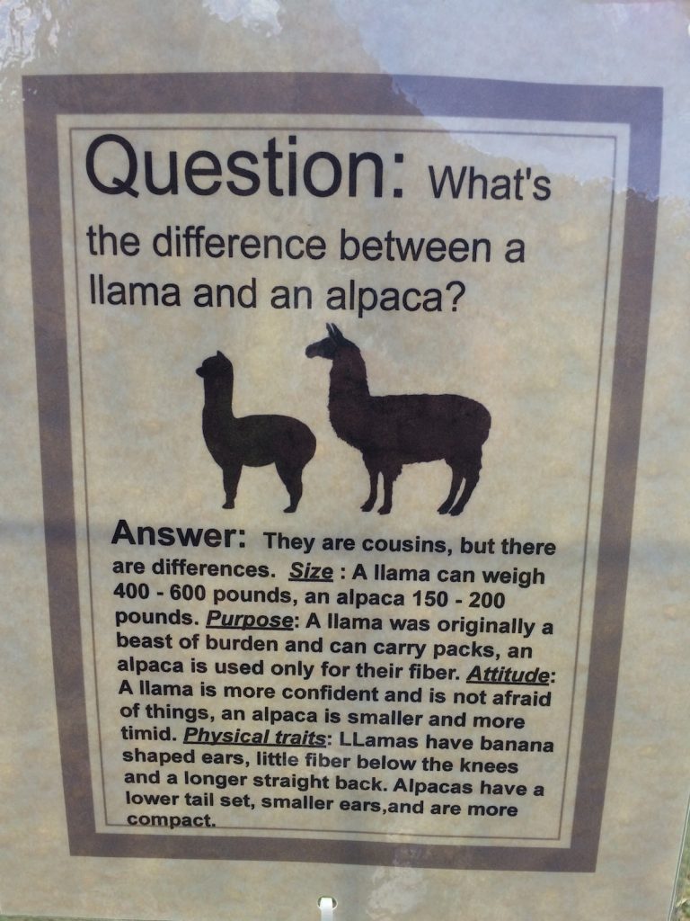 llama-alpaca